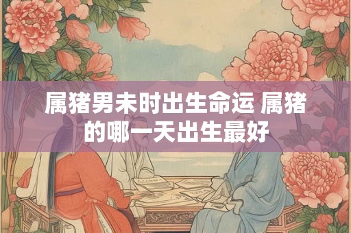 属猪男未时出生命运 属猪的哪一天出生最好
