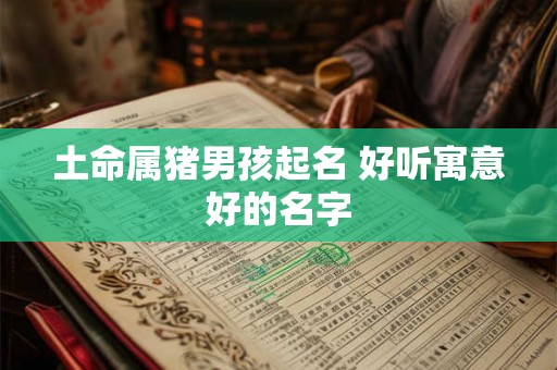 土命属猪男孩起名 好听寓意好的名字