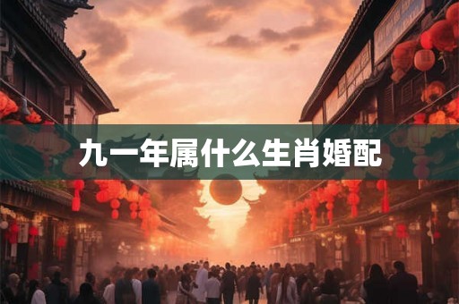 九一年属什么生肖婚配