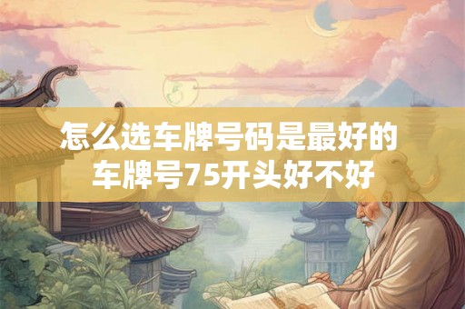 怎么选车牌号码是最好的 车牌号75开头好不好