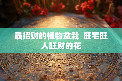 最招财的植物盆栽  旺宅旺人旺财的花