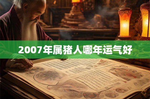 2007年属猪人哪年运气好