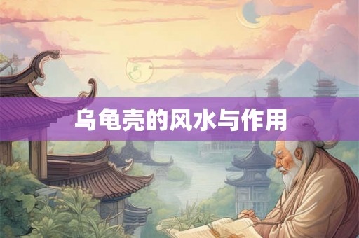 乌龟壳的风水与作用