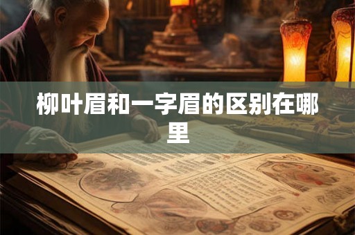 柳叶眉和一字眉的区别在哪里