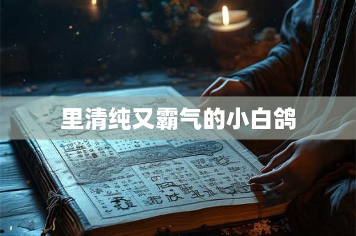 里清纯又霸气的小白鸽