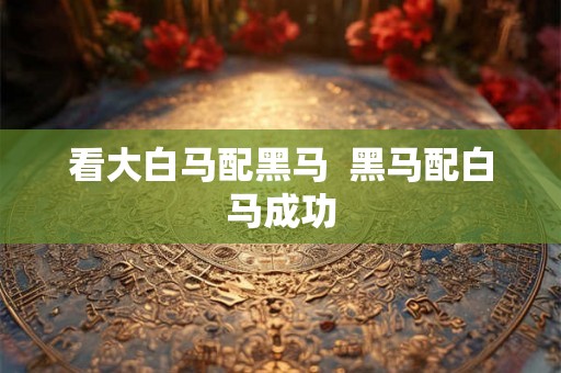 看大白马配黑马  黑马配白马成功