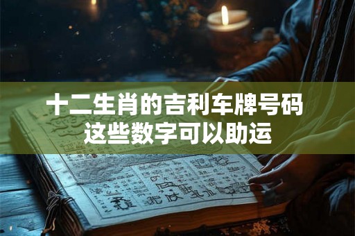 十二生肖的吉利车牌号码 这些数字可以助运