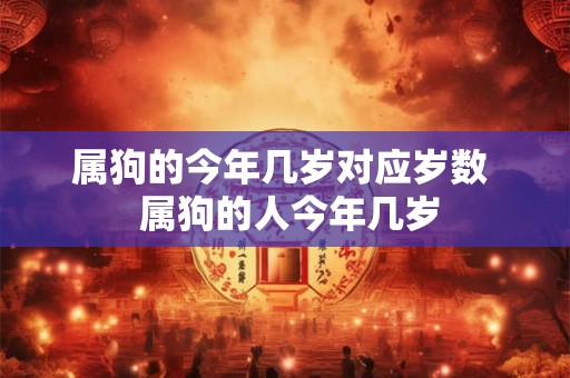 属狗的今年几岁对应岁数  属狗的人今年几岁