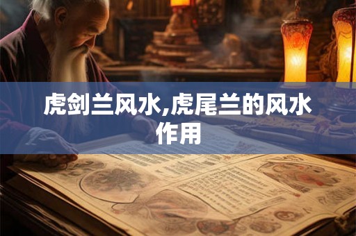 虎剑兰风水,虎尾兰的风水作用