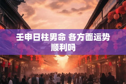 壬申日柱男命 各方面运势顺利吗