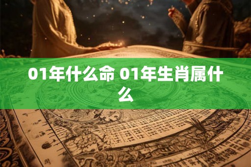 01年什么命 01年生肖属什么 01年什么命 01年生肖属什么