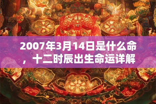 2007年3月14日是什么命，十二时辰出生命运详解