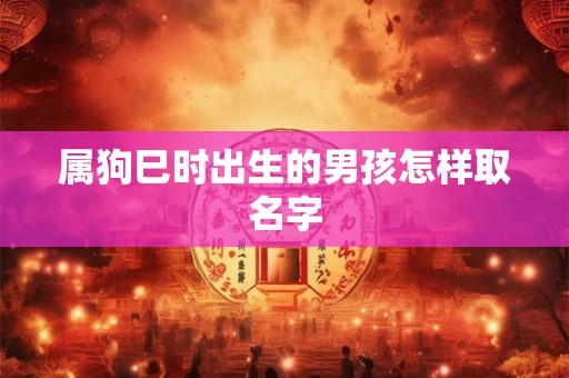 属狗巳时出生的男孩怎样取名字