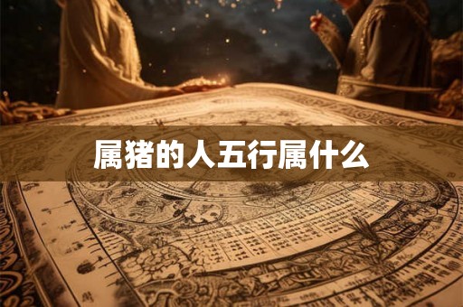 属猪的人五行属什么