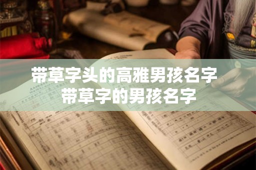 带草字头的高雅男孩名字 带草字的男孩名字 带草字头的高雅男孩名字 带草字的男孩名字