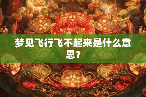 梦见飞行飞不起来是什么意思？