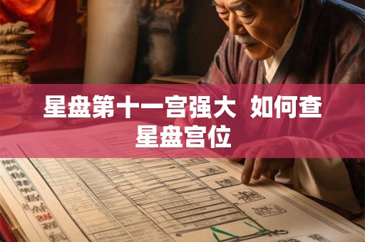 星盘第十一宫强大  如何查星盘宫位