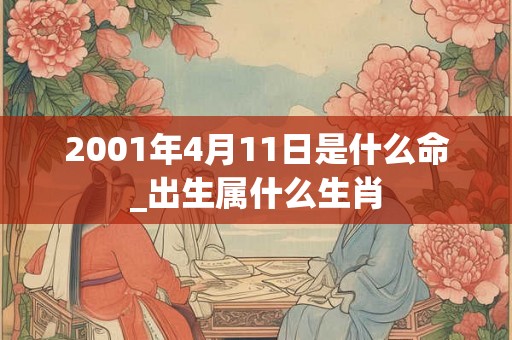 2001年4月11日是什么命_出生属什么生肖