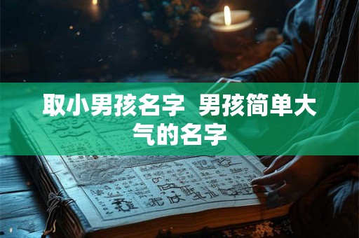 取小男孩名字  男孩简单大气的名字