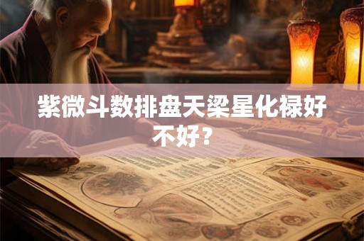 紫微斗数排盘天梁星化禄好不好？