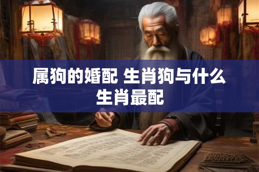 属狗的婚配 生肖狗与什么生肖最配
