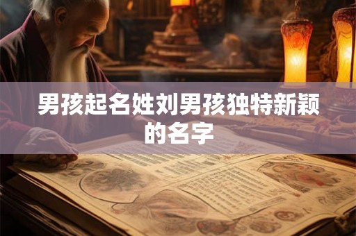 男孩起名姓刘男孩独特新颖的名字