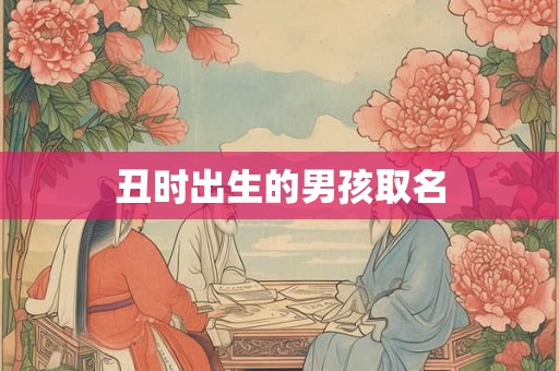 丑时出生的男孩取名