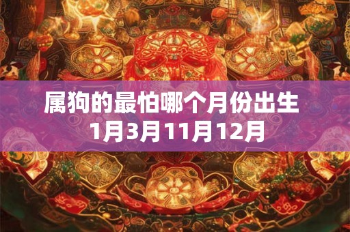 属狗的最怕哪个月份出生 1月3月11月12月