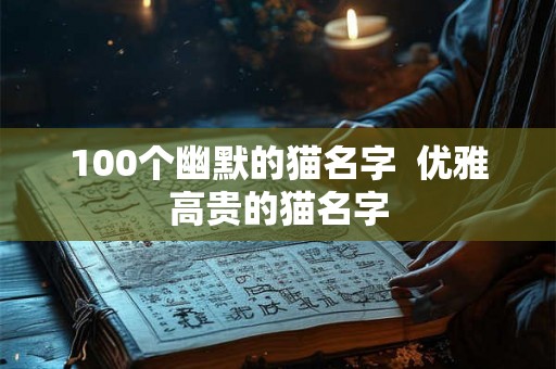 100个幽默的猫名字  优雅高贵的猫名字