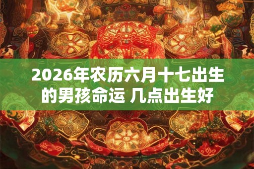 2026年农历六月十七出生的男孩命运 几点出生好