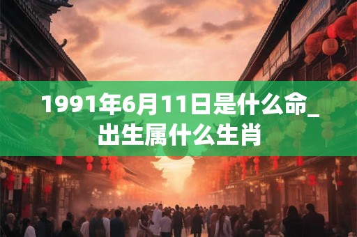 1991年6月11日是什么命_出生属什么生肖