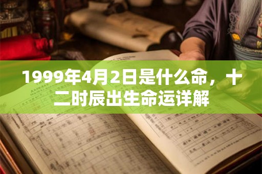 1999年4月2日是什么命，十二时辰出生命运详解