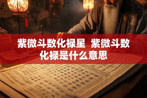 紫微斗数化禄星  紫微斗数化禄是什么意思
