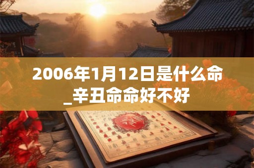 2006年1月12日是什么命_辛丑命命好不好 2006年1月12日是什么命_辛丑命命好不好