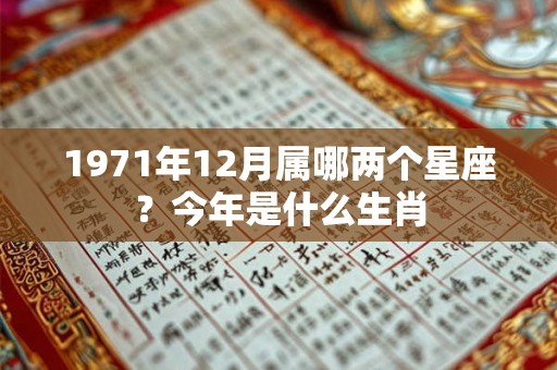 1971年12月属哪两个星座？今年是什么生肖