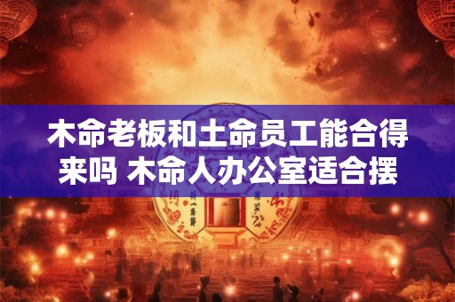 木命老板和土命员工能合得来吗 木命人办公室适合摆放什么