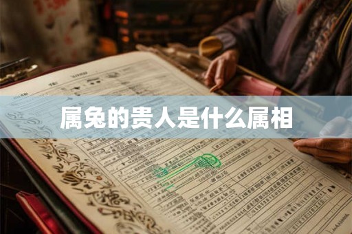 属兔的贵人是什么属相