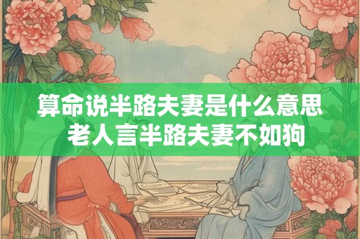 算命说半路夫妻是什么意思  老人言半路夫妻不如狗