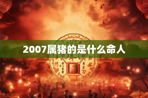 2007属猪的是什么命人