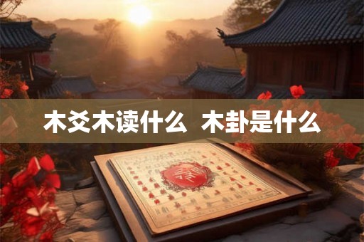 木爻木读什么  木卦是什么