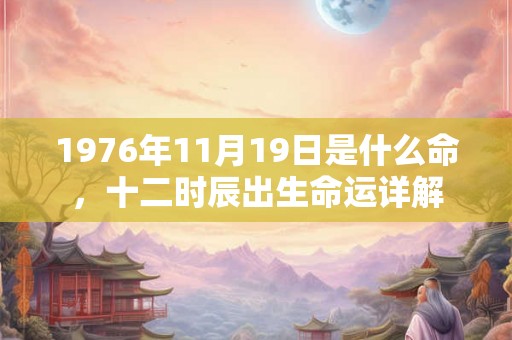 1976年11月19日是什么命，十二时辰出生命运详解