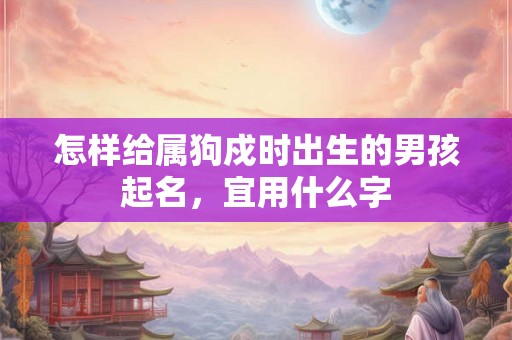 怎样给属狗戍时出生的男孩起名，宜用什么字