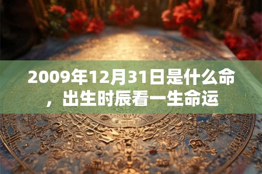 2009年12月31日是什么命，出生时辰看一生命运