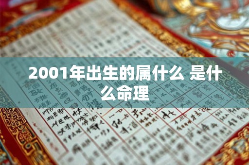 2001年出生的属什么 是什么命理