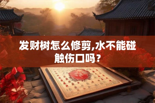 发财树怎么修剪,水不能碰触伤口吗？