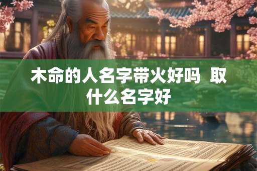 木命的人名字带火好吗  取什么名字好