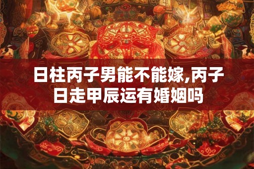 日柱丙子男能不能嫁,丙子日走甲辰运有婚姻吗