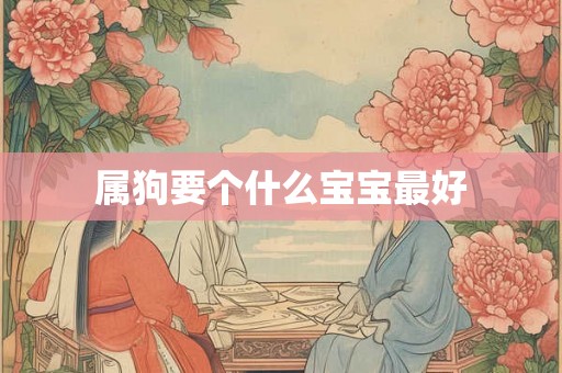 属狗要个什么宝宝最好