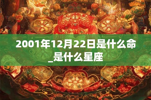 2001年12月22日是什么命_是什么星座