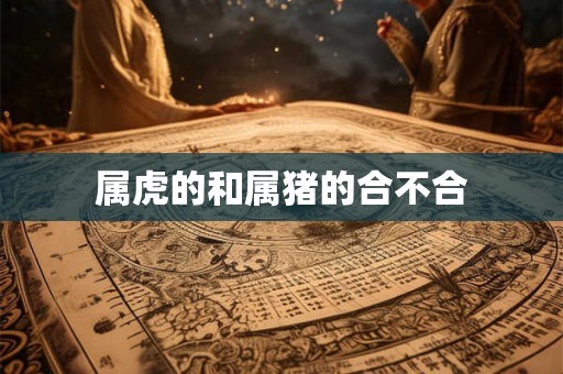属虎的和属猪的合不合